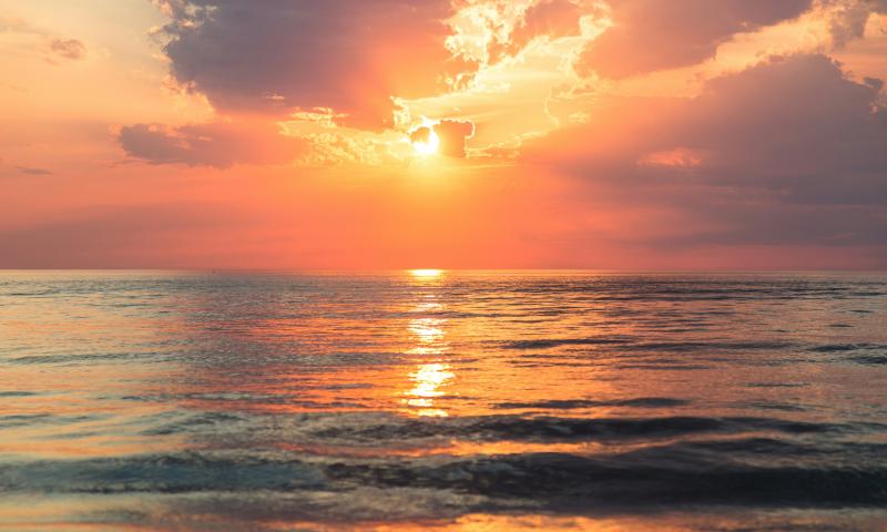 The Brian Mulroney Institute of Government’s Distinguished Speaker Series Presents “A Different Kind of Love Than Before, But It’s There”: Alzheimer’s and Dementia Caregiving in Canada