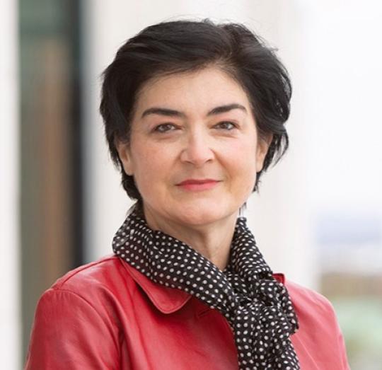 Dr. Lavinia Stan