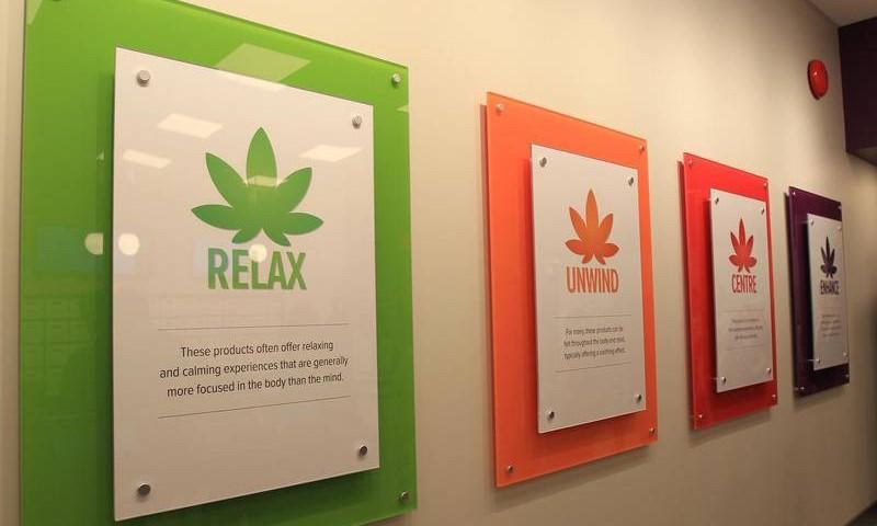 Cannabis Day: Tasteful State Consumption and ‘Enjoying Your Experience’ at the NSLC