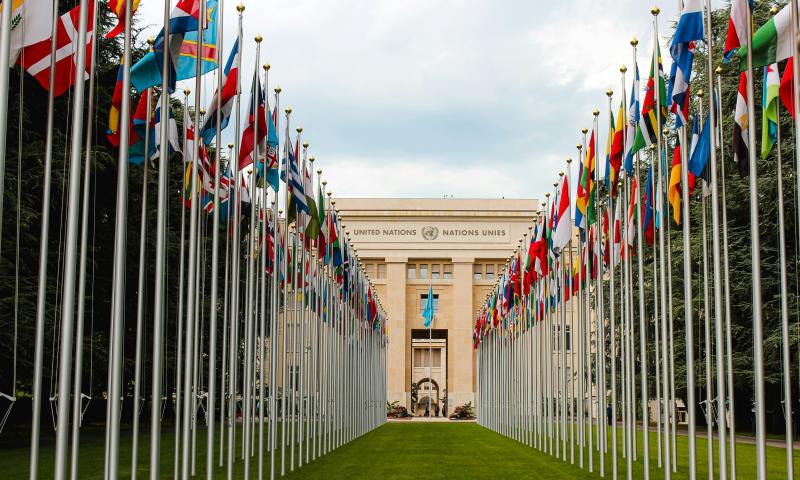 Making the United Nations Command Great Again?: The Ontology of a ‘Revitalized’ United Nations Command and Its Implications