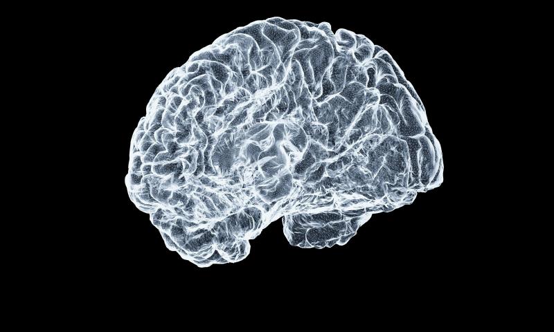 The Brian Mulroney Institute of Government and Frank McKenna Centre for Leadership Present: The Gaslit Brain