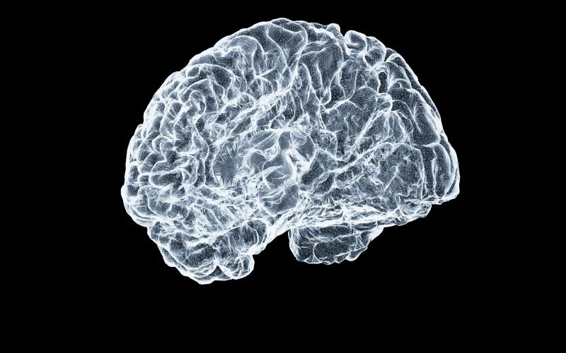 The Brian Mulroney Institute of Government and Frank McKenna Centre for Leadership Present: The Gaslit Brain