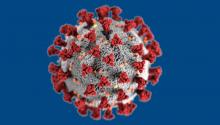 Covid19 Virus